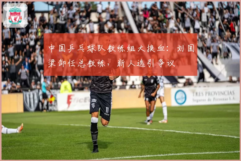 中国乒乓球队教练组大换血：刘国梁卸任总教练，新人选引争议