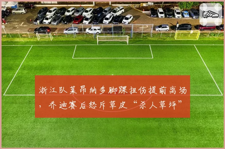 浙江队莱昂纳多脚踝扭伤提前离场，乔迪赛后怒斥草皮“杀人草坪”